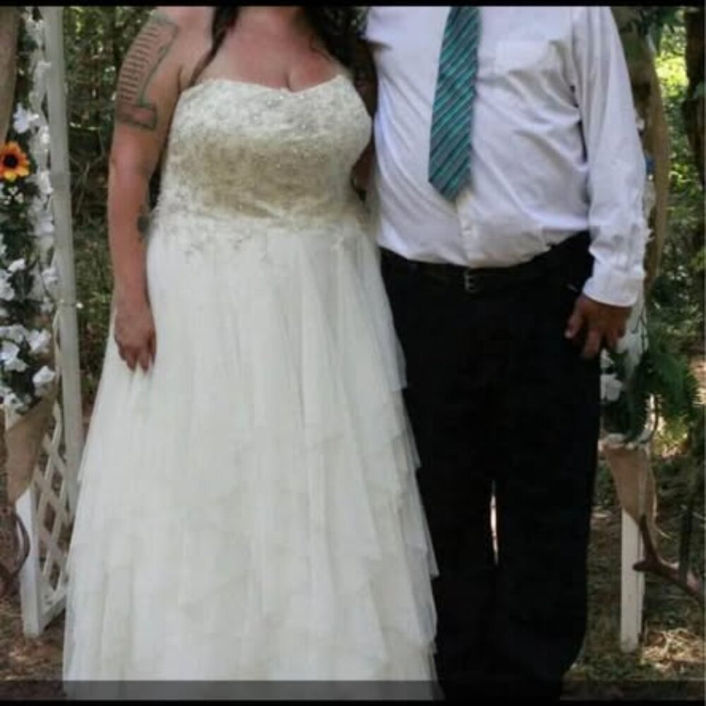 Rustic Plus Size Wedding Dress